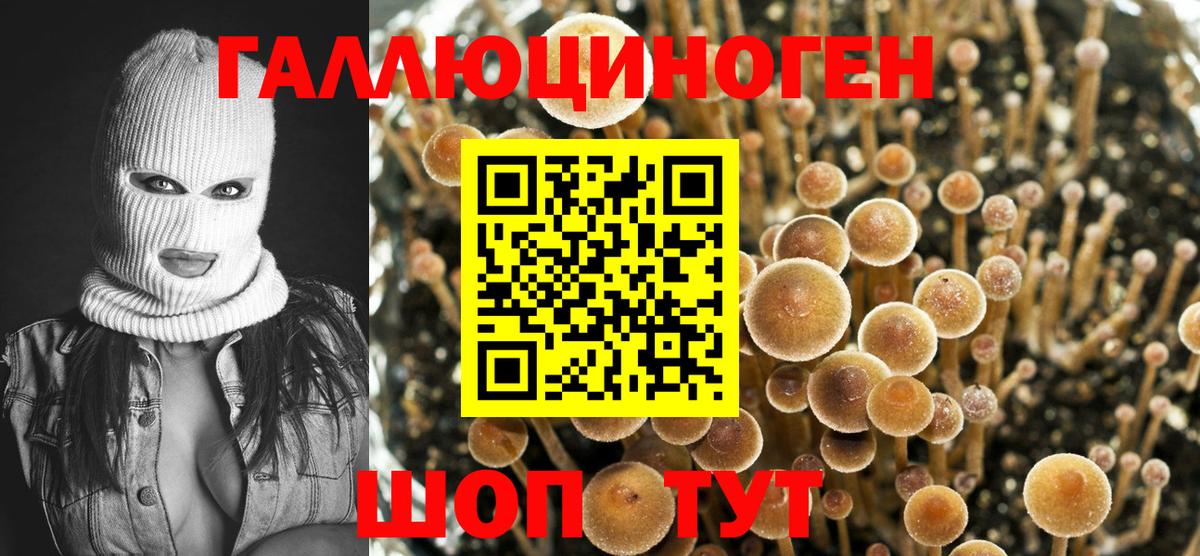 Галлюциногенные грибы прущие грибы  Псилоцибиновые грибы ЛСД  Конаково 