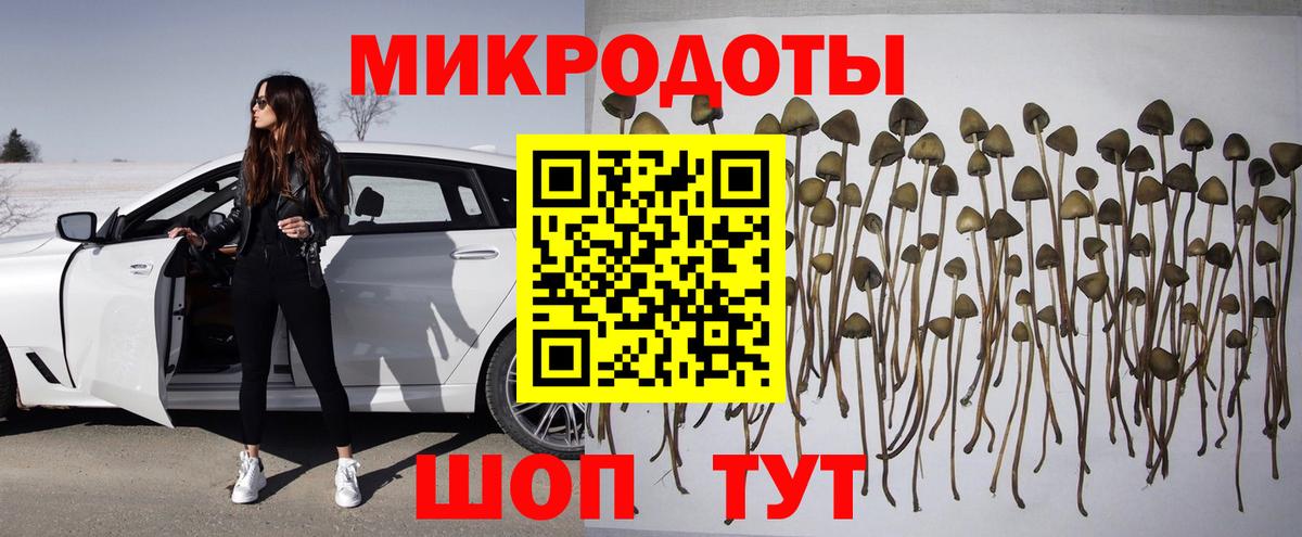 Галлюциногенные грибы Magic Shrooms  Вход с VPN  Конаково 